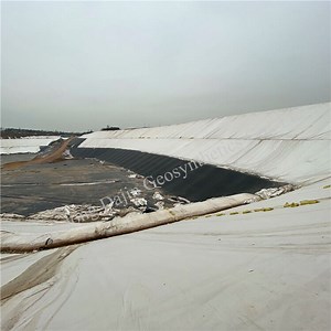 [Hot Item] Filtration Geotextile - Permeable Fabric for Separating Soil and Water in Construction