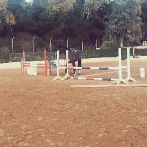 146K views · 2K reactions | Quand tu confonds cheval de cso et cheval de rodéo Credit: Valentin Velea | CSO de merde | Facebook