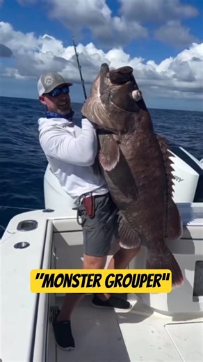Grouper Fishing Techniques ✅