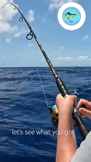 Catching Mahi Mahi at the sargassum beds 20 miles off Key West in a 21’ Sportsman center console.