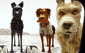 Canine out of ten! Dublin cinema holds dog-friendly screening of Isle Of Dogs - Extra.ie