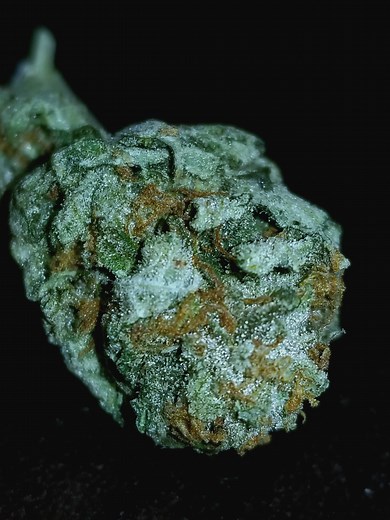 Glazed Cherry | Marijuana Strain Reviews