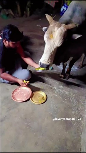 venkanna Babu 🙏🙏🙏