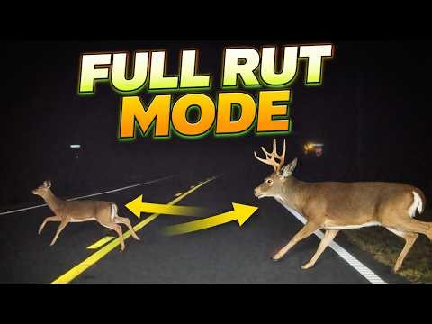 Hunting the Biggest Buck of the Season (Unreal Encounter)