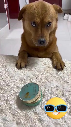 Que lea.. | Jhonky castaño