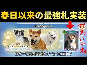 [Shadowverse WB] Urgent! Shadowverse is dominated by dogs. The strongest card since Kasuga, 'Dog'...
