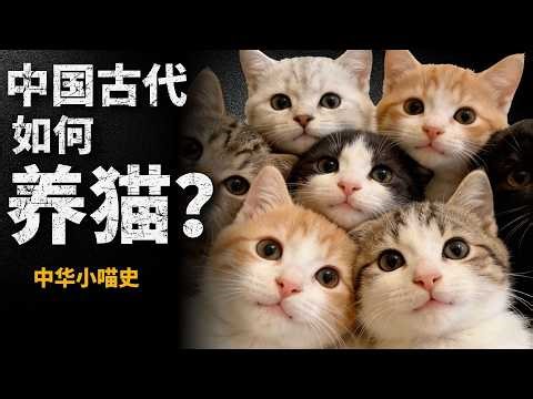 古代中國人有多愛貓？帶你了解中華貓咪歷史！