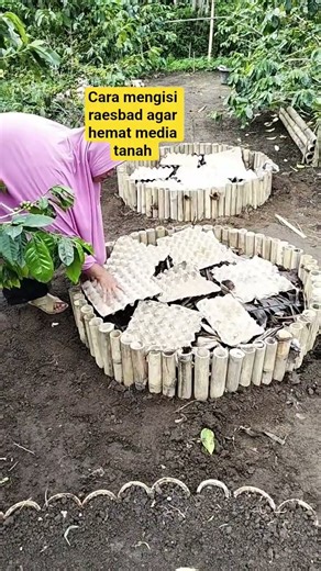cara mengisi raesbad agar hemat media tanah #berkebunorganik #pertanian #berkebun