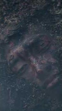 Cinematography in The Thin Red Line (1998) by Terrence Malick #cinematography #edit #movie