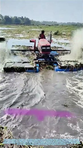 * Chewing Through Rivers: The Machine That Eats Weeds Like Lunch