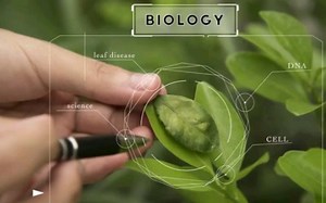 【职业百科】生物工程师