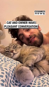 Cat and Owner Have Pleasant Conversation | Wrestling News