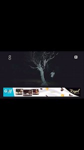 TV 8. MARAL RÖPORTAJ | Maral