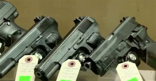 Michigan lawmakers in Lansing push permitless concealed carry bill