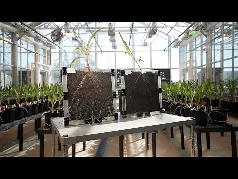 Pivot Bio is transforming fertilizer