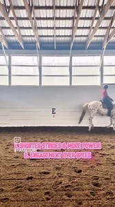 streamhorse: collected canter: dressage training tips