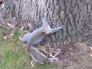 Me tonight. Provided by: Break | LADbible