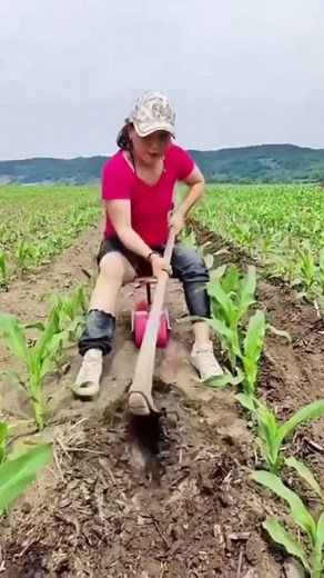 70K views · 265 reactions | Amazing Farming Tools #farming #tools #agriculture #trending #fyp | Daily Post | Facebook