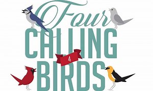 What are Four Calling Birds? - The Truth Behind Them
