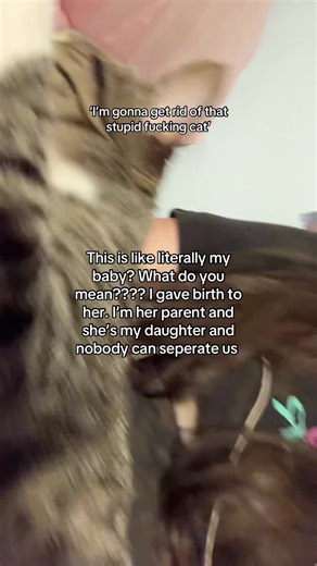 She was purring #cat#kitty#charliekirk#catlover | cat