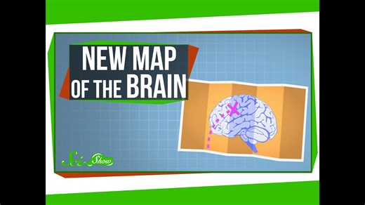 A new map of the human brain!
