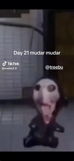 mountain (@tuskjohnnyjoestar)’s video of tree falling