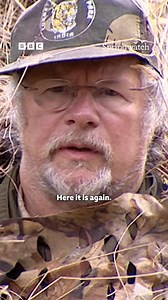 Hiding in a haystack to spot the stunning kingfisher 😍 BBC Springwatch #Springwatch #Springwatch20 #BillOddie #Kingfisher #Birds | BBC