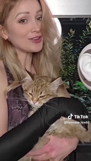 ASMR Part 2: Fluffy Sabre Tooth Insights