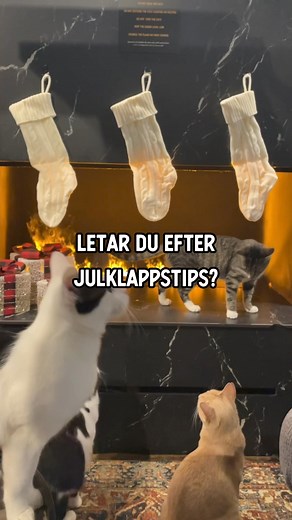 98 reactions | Ge bort kattmys i julklapp! ✨ Ett presentkort på Java Whiskers kattcafé är den purrfekta presenten för alla åldrar (från 10 år, men från 6+ med godkänd barnkurs). Fly julenstressen och koppla av på vårt mysiga café i Stockholm, med varma drycker, läckra godbitar och oändliga kattmys och gos. Alla våra kattvänner letar efter ett hem för alltid, så du kanske till och med hittar en ny lurvig familjemedlem! | Java Whiskers Sverige | Facebook