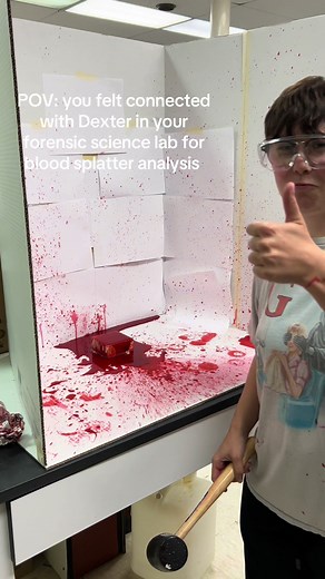 Exploring Blood Splatter Analysis with Dexter