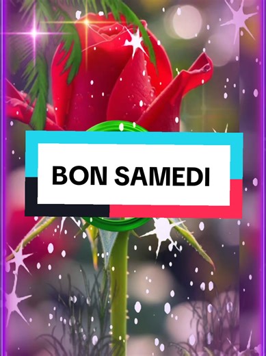 bonjour. bon samedi et bon week-end à tous #videoviral #foryoupage #trend #fy #fyp