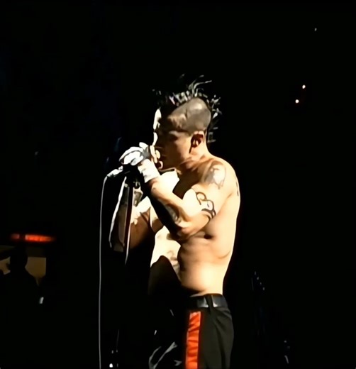 #redhotchilipeppersconcert
