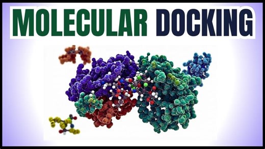 Molecular Docking | Principles, Types, Tools, Applications Role in Drug Discovery | Bioinformatics | Mahrukh Saeed Gillani