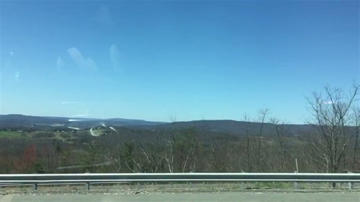 We wore banana costumes to a Camila Cabello concert