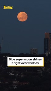 A rare blue supermoon lit up Sydney's skyline last night. 🌕🐺 Did you see the spectacular phenomenon? #9Today #b#bluemoon #supermoon | TODAY