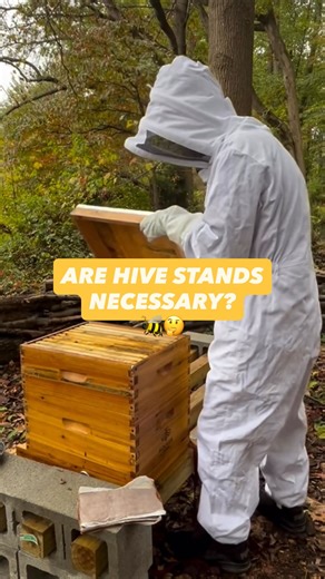 Hive stands mimic nature by raising hives off the ground, keeping predators like skunks and raccoons at bay. So while they’re not obligatory, we definitely recommend using them to protect your bees. You can create your own or grab a ready-made stand through the link in our bio! 📷: @dirty.hoe.farm #nature #outdoors #beekeeping #beekeeper #honeybee | Galena Farms