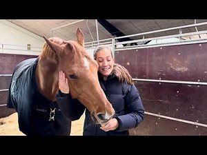 World Cup Herning - Cathrine Laudrup-Dufour og Cassidy