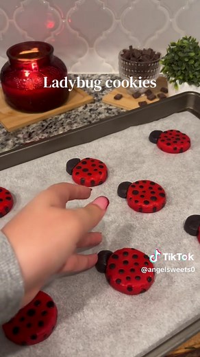 Delicious Ladybug Cookies Recipe