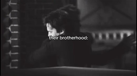 Best of Stefan & Damon Salvatore