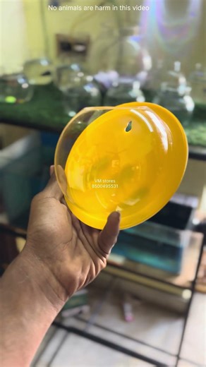 New betta fish tanks 😍||#bettafish #bettatank #trending #tanksetup #aquariumhobby #unboxing