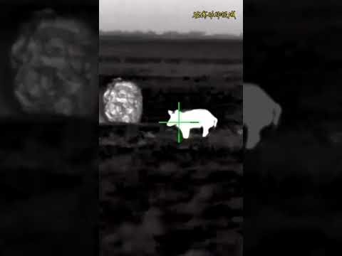 Infrared products are extremely useful tools for night hunting