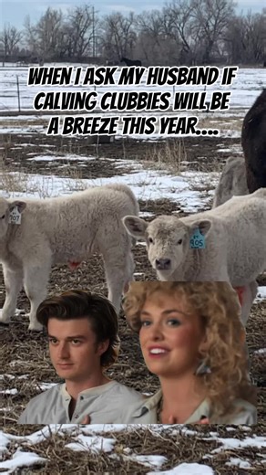 Calving Season Preparation Tips for Farmers