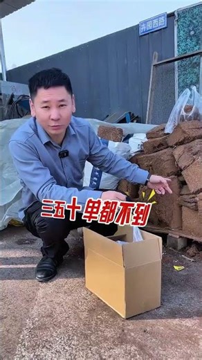 Incredible Expansion: Ordinary Coconut Bricks Turn into Giant Blocks