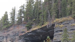 Photographer Captures Bigfoot on Camera & Runs Away When He Realizes It Wasn’t a Bear #sasquatch #bigfoot | Rocky Mountain Sasquatch Organization