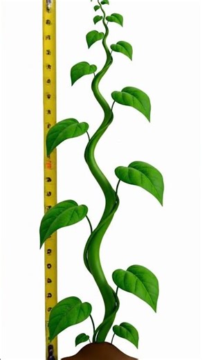 Regression For Beginners: Making Predictions! (Lesson 3)