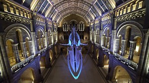 18K views · 851 reactions | Don’t miss our winter season of special exhibitions and events for the naturally curious. From whales to the world of venom and the stunning photography of Wildlife Photographer of the Year, find the answers to your questions about the natural world. | Natural History Museum, London | Facebook