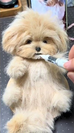 Maltay Puppy Pendant Twist Stick Handicraft tutorial#Malte#Teddy#Maltese#Twist the stick#M