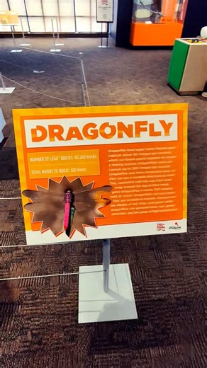 dragonfly in Lego bricks.305 hours to build. RMSC NY