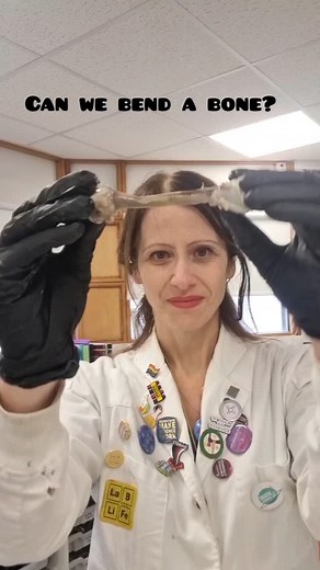 emilia angelillo | We have just finished studying the skeleton with Year 7, and we had to bend bones using vinegar! The children were amazed to see a bone... | Instagram