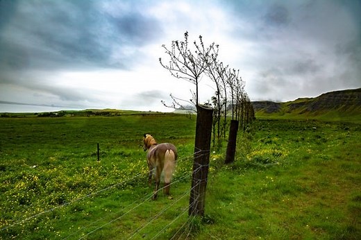 Land Package for Barndominium - Top 14 Things to Consider